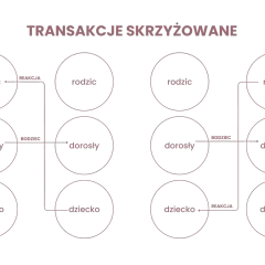 Schemat ilustruje teorię wymiany społecznej, pokazując interakcje między rodzicem, dorosłym i dzieckiem jako bodźce i reakcje.