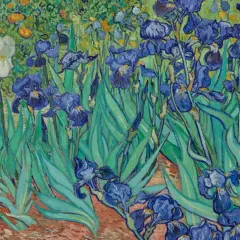 Wśród zieleni i żółtych kwiatów, niebieskie irysy Van Gogha, jedne z jego najsłynniejszych obrazów, rozkwitają w pełnej krasie.