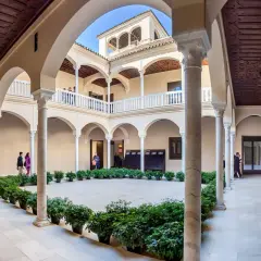 Wnętrze muzeum Picassa w Maladze, z dziedzińcem otoczonym arkadami, zdobionymi drewnianymi stropami i rzędami zieleni.