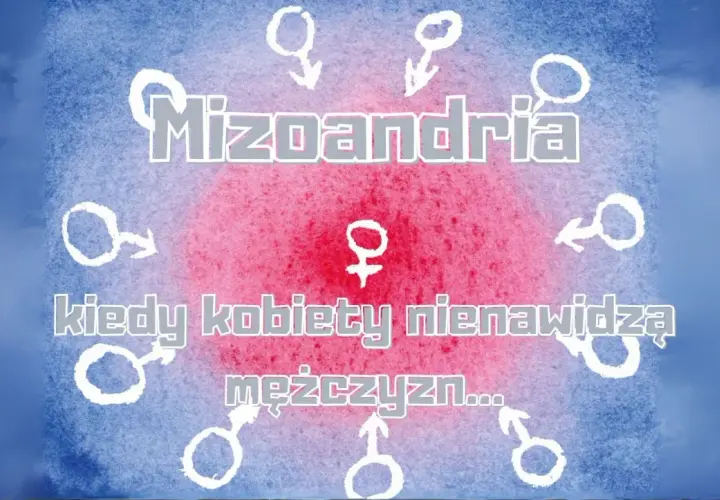 Mizoandria: kiedy kobiety nienawidzą mężczyzn... Symbol kobiecy w centrum, otoczony symbolami męskimi.