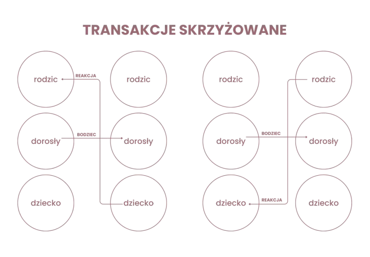 Schemat ilustruje teorię wymiany społecznej, pokazując interakcje między rodzicem, dorosłym i dzieckiem jako bodźce i reakcje.