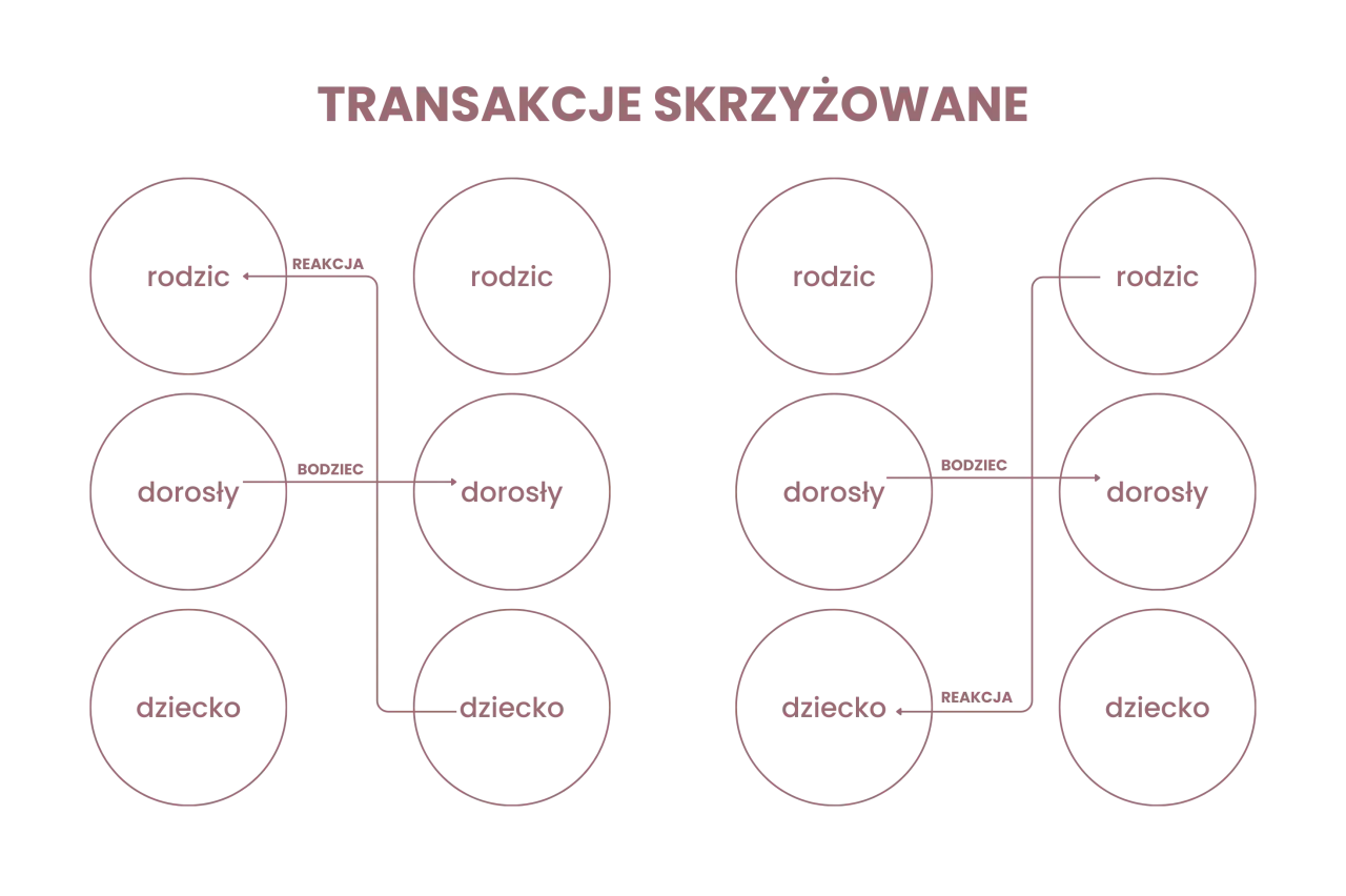 Schemat ilustruje teorię wymiany społecznej, pokazując interakcje między rodzicem, dorosłym i dzieckiem jako bodźce i reakcje.