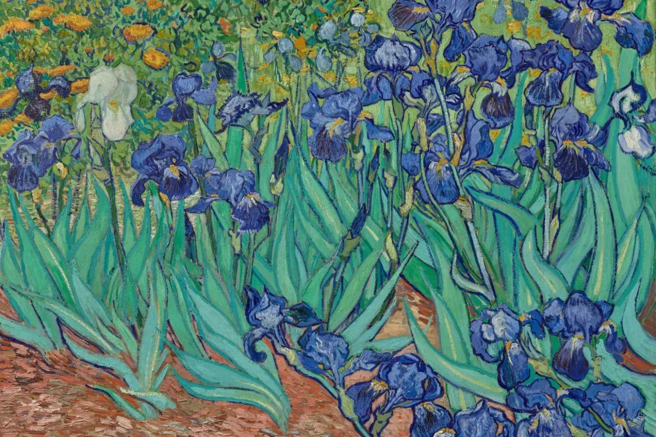 Wśród zieleni i żółtych kwiatów, niebieskie irysy Van Gogha, jedne z jego najsłynniejszych obrazów, rozkwitają w pełnej krasie.