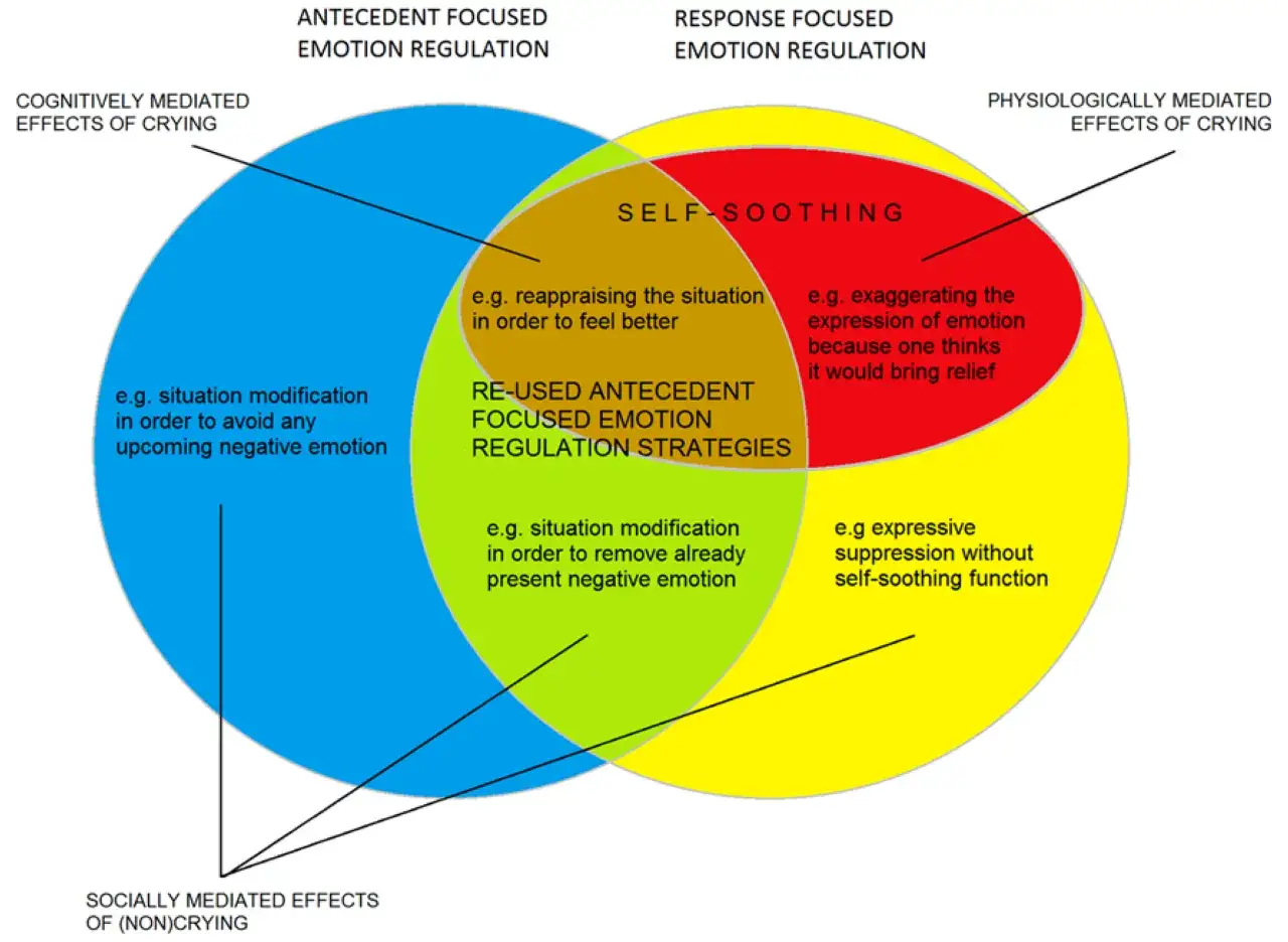 Diagram ukazuje strategie regulacji emocji i ich skutki. Tłumienie emocji może prowadzić do różnych konsekwencji, od modyfikacji sytuacji po ekspresyjne tłumienie bez funkcji samouspokajającej.